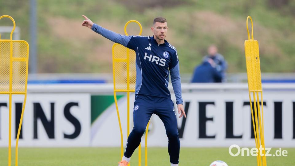 Edin Dzekos erstes Training auf Schalke lockt über 1.000 Fans an. Bild: Rolf Vennenbernd/dpa