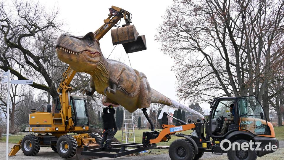 Dino am Haken: Die Nachbildung eines Tyrannosaurus Rex wird für die Ausstellung "Dino Lights" in Erfurt aufgebaut. Bild: Martin Schutt/dpa