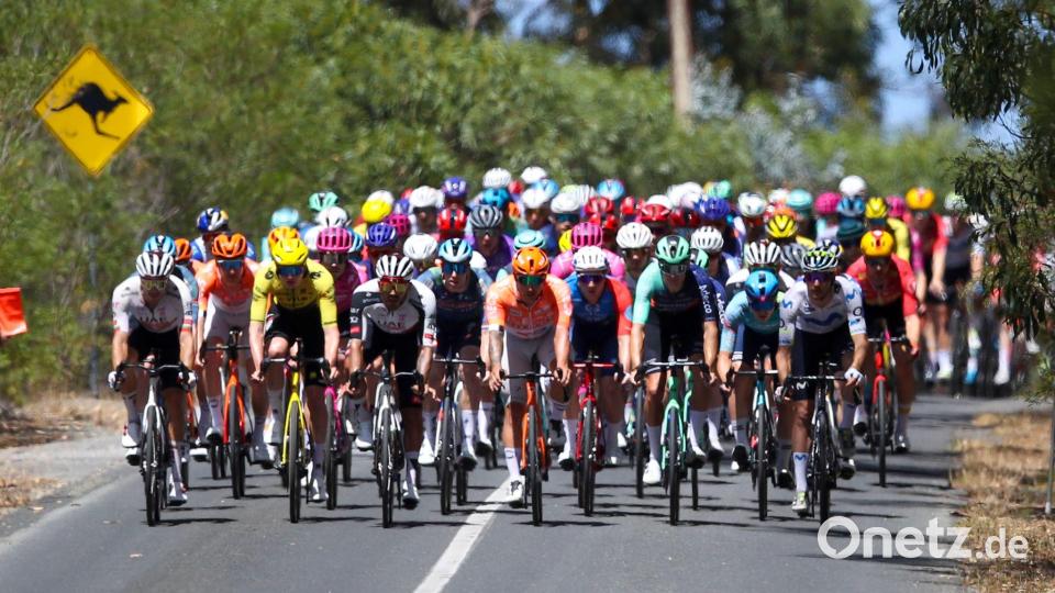 Zwei Kängurus lösten auf der letzten Etappe der Tour Down Under einen Crash aus. Bild: Matt Turner/AAP/dpa