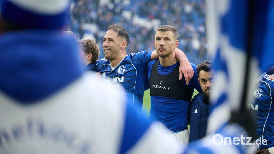 Dzeko (r) ist nun auch spielerisch auf Schalke angekommen. Bild: Bernd Thissen/dpa