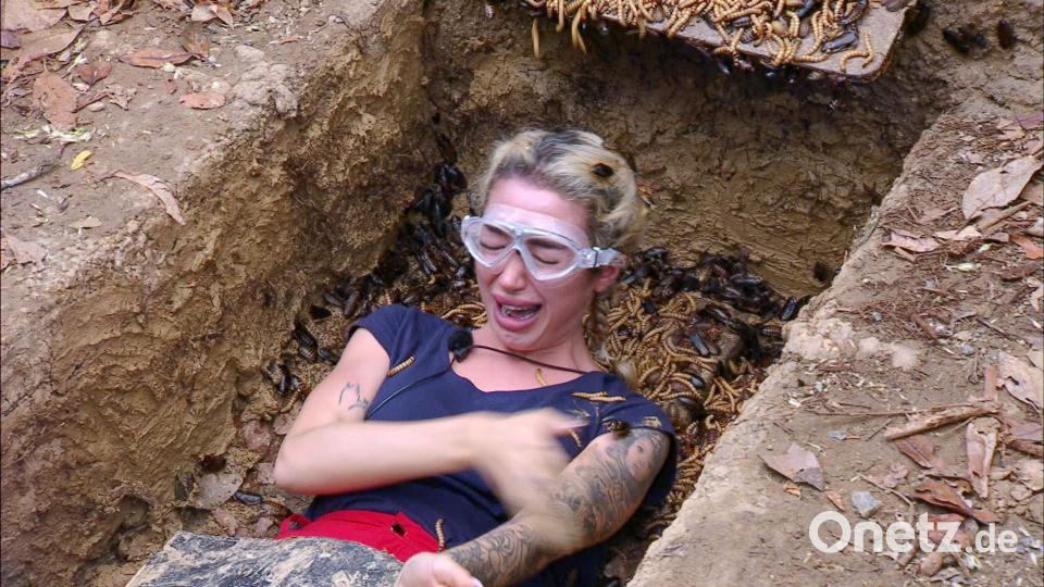 Und wieder gab es keine Sterne für die Camper. Bild: RTL/dpa