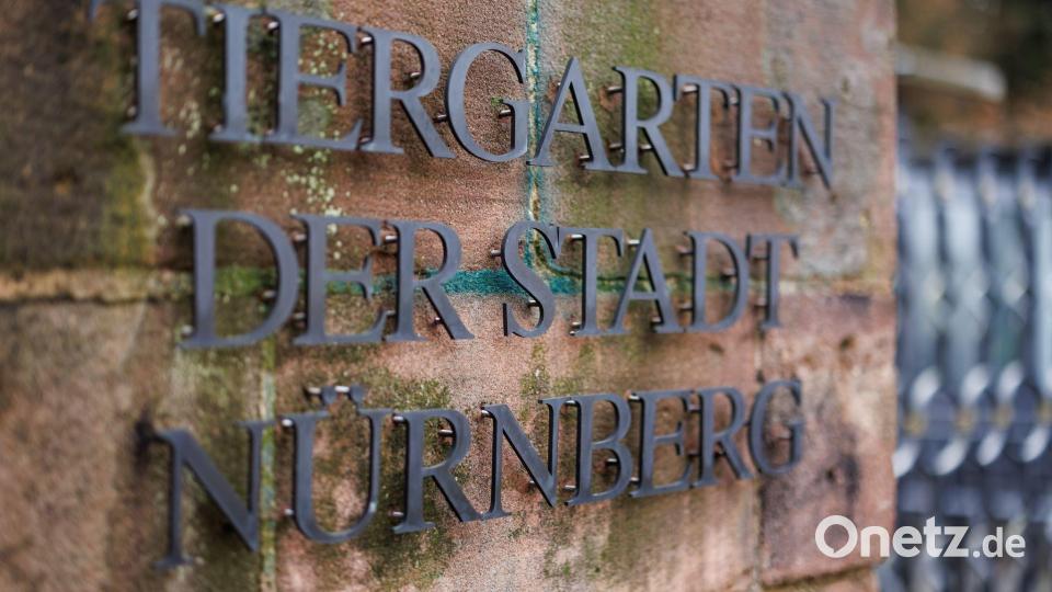 Heute bleibt der Tiergarten geschlossen. (Archivbild) Bild: Daniel Karmann/dpa