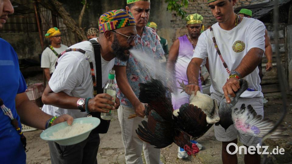 Santeria-Priester führen ein Reinigungsritual mit Hähnen durch. Bild: Ramon Espinosa/AP/dpa