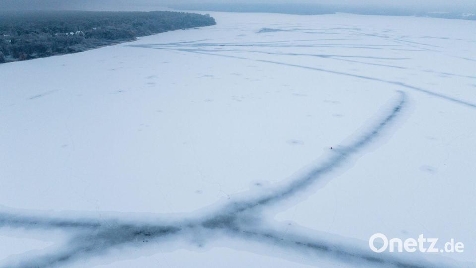 Für die Fische wirkt das Eis nach Aussage eines Experten „beruhigend“. Bild: Jens Büttner/dpa