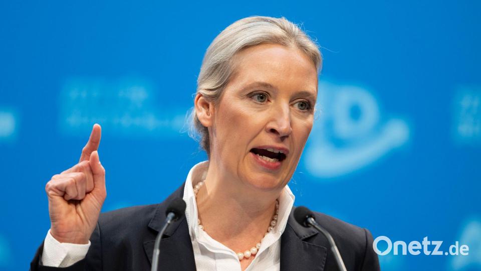 AfD-Chefin Alice Weidel beim Parteitag im Januar 2025 in Riesa: „Dann heißt es eben Remigration“ (Archivbild) Bild: Sebastian Kahnert/dpa