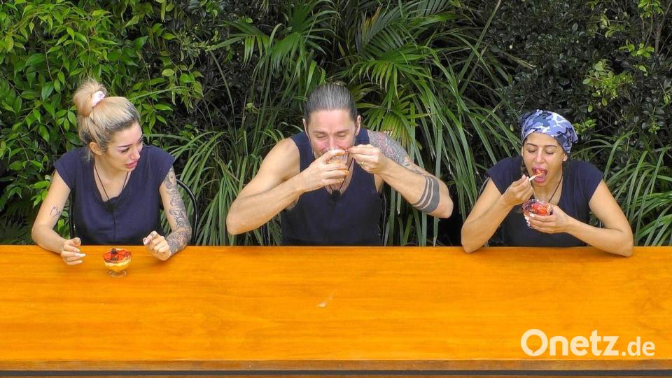 Kamelhirn und Kuhurin standen auf der Speisekarte. Bild: RTL/dpa