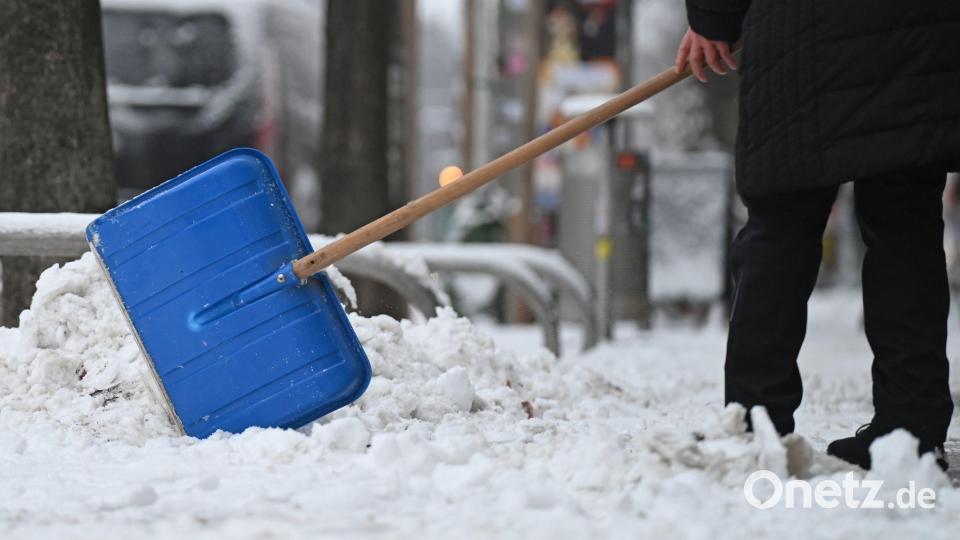 In einigen Regionen Deutschlands hat es in diesem Winter viel geschneit - trotzdem sind die Böden trockener als sonst und das Grundwasser nicht erholt, so Marx. (Archivbild) Bild: David Hammersen/dpa