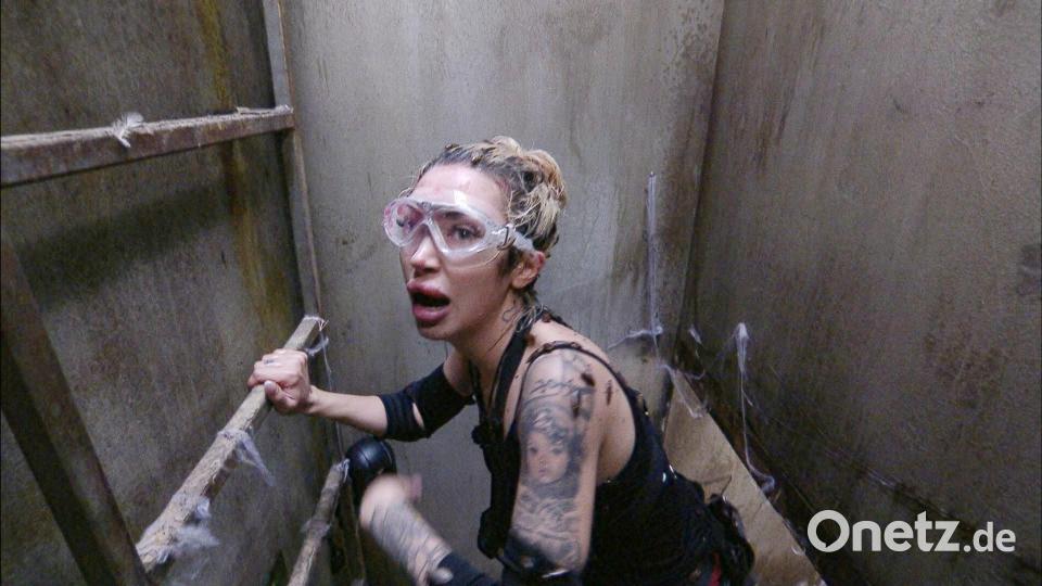 Holt tatsächlich vier Sterne: Ariel, das Dschungel-Küken - oder „Mäusele“, wie Ofarim sagt. Bild: RTL/dpa