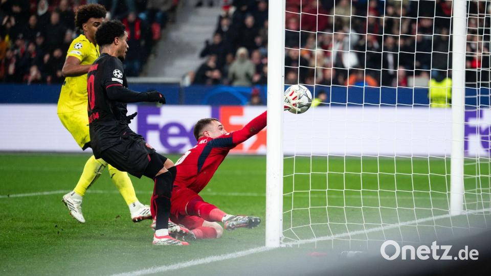 Malik Tillman trifft zum Tor. Bild: Marius Becker/dpa