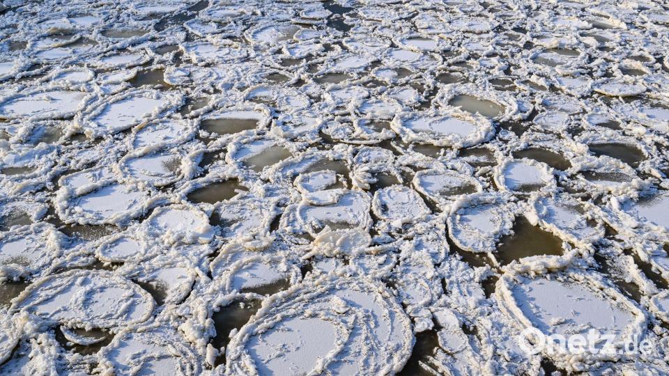 Eisteller auf der Oder Bild: Patrick Pleul/dpa