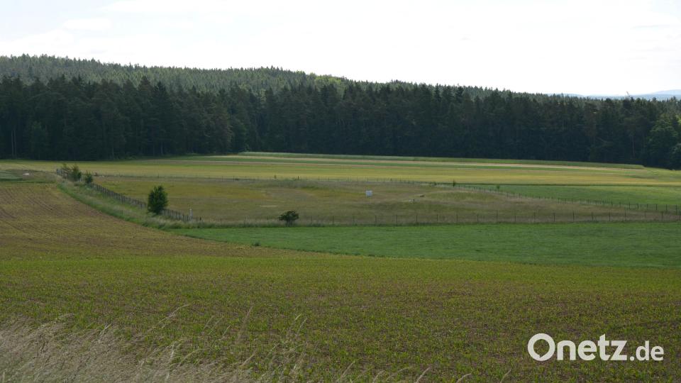 Neu eingezäunt wird das Quellgebiet in Groppenheim. Die 500 Meter lange Umzäunung wird mit einer neuen Doppelstabmatte hergestellt. Noch in diesem Jahr sollen die Arbeiten beginnen. Bild: jr