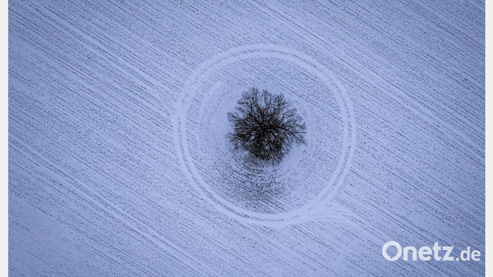 Frost und Schnee im Norden Bild: Jens Büttner/dpa