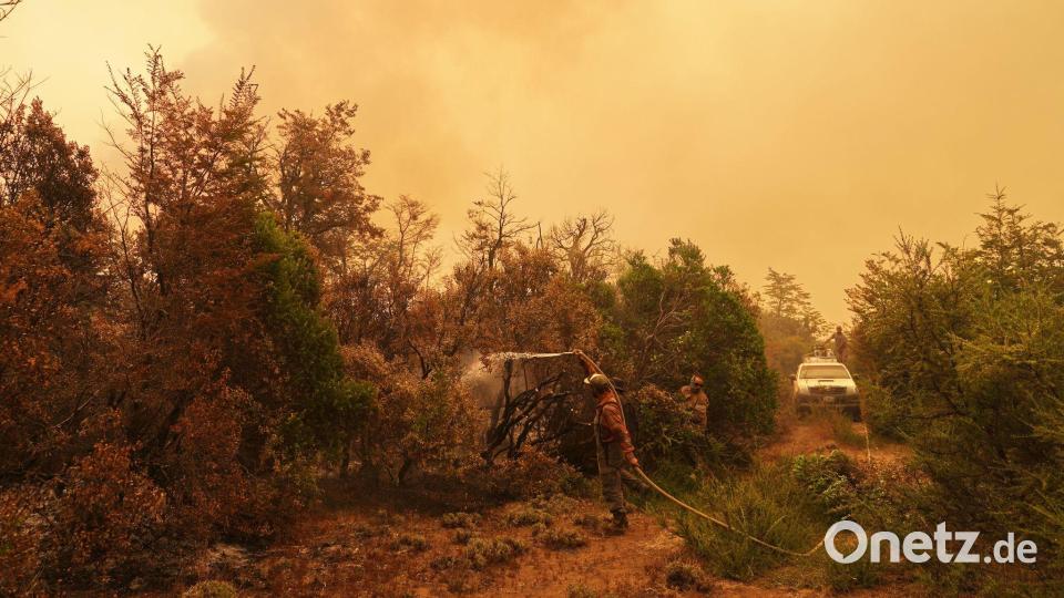 Betroffen sind Teile der Provinzen Chubut, La Pampa, Neuquén und Río Negro. Bild: Victor R. Caivano/AP/dpa