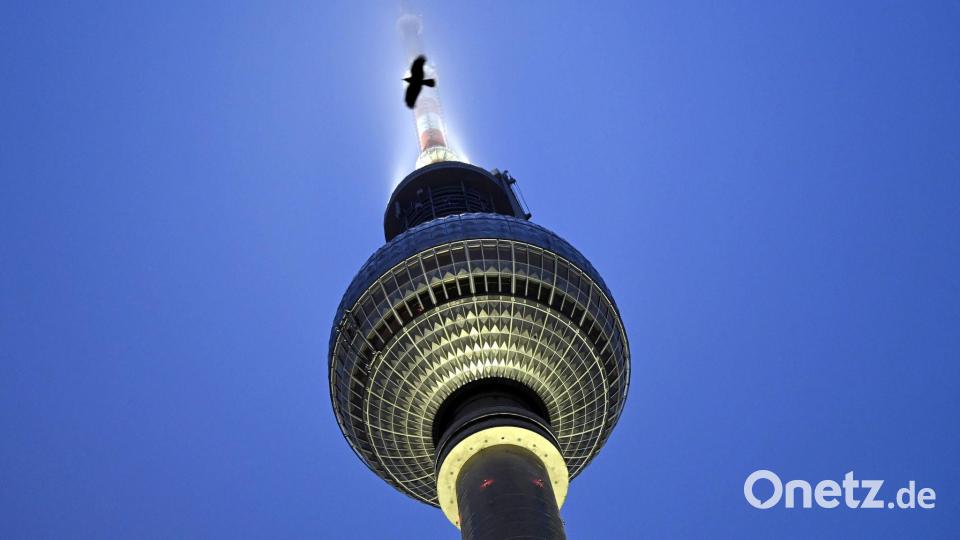 Eine Krähe fliegt vor dem Berliner Fernsehturm, dessen Spitze angeleuchtet ist und teils im Nebel versinkt. Bild: Lilli Förter/dpa