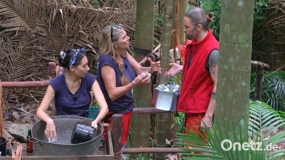 Die Schauspielerin hatte sich im Camp auf Gil Ofarim eingeschossen. Bild: RTL/dpa