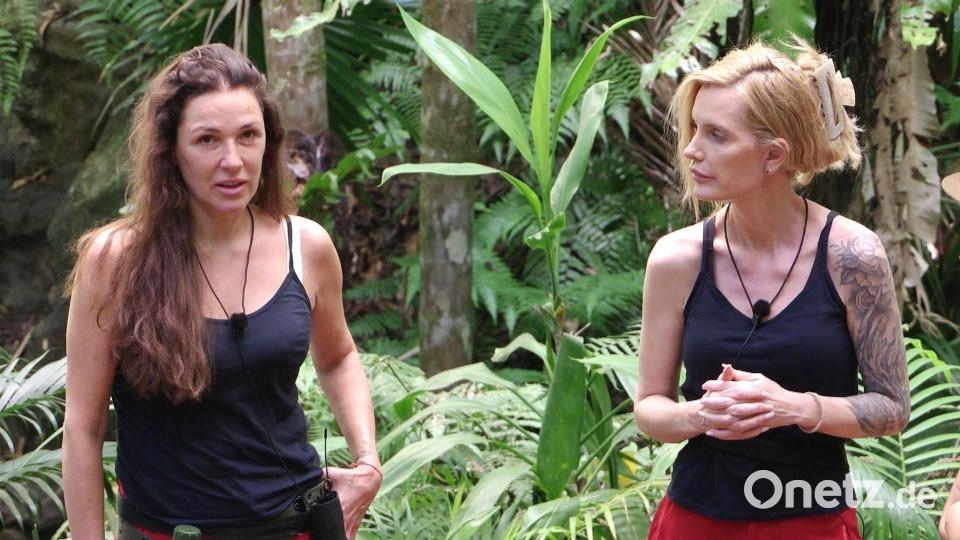 Die Dschungelfreundinnen Simone Ballack und Mirja du Mont werden getrennt. Bild: RTL/dpa