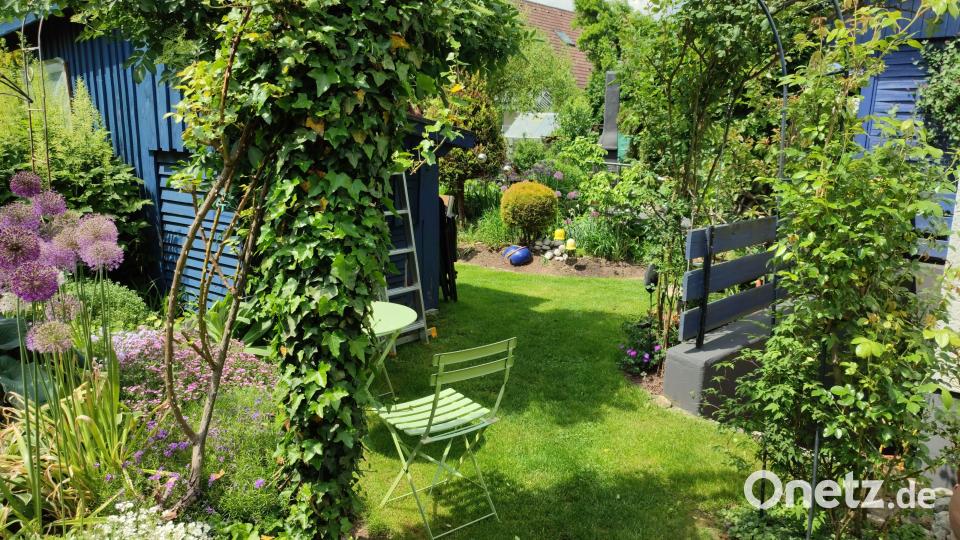 Das Natur- und Gartenparadies von Christa und Gerhard Gieler ist eine Augenweide. Bild: Josef Höllerl/exb