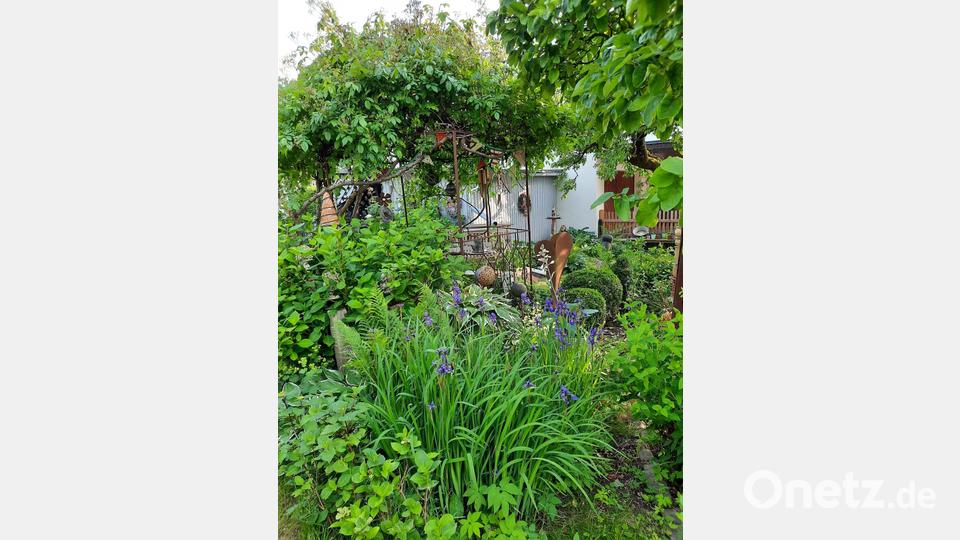 Anne und Günter Hassmann bieten Einblicke in ihren wunderschönen Garten. Bild: Josef Höllerl/exb