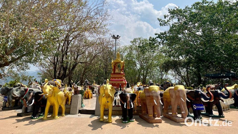 Elefanten sind Thailands Nationaltiere und werden in vielen Tempeln verehrt. Archivbild: Carola Frentzen/dpa
