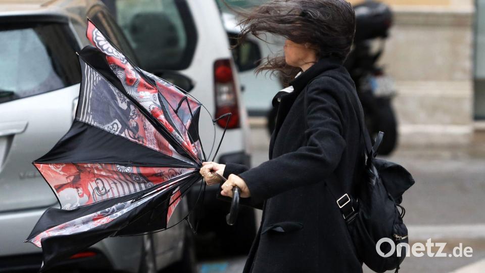 Auch in Spanien wurde weiterer Sturm mit starken Niederschlägen erwartet. Ein Regenschirm wie hier in Málaga hilft da kaum. (Archiv-Bild) Bild: Álex Zea/EUROPA PRESS/dpa
