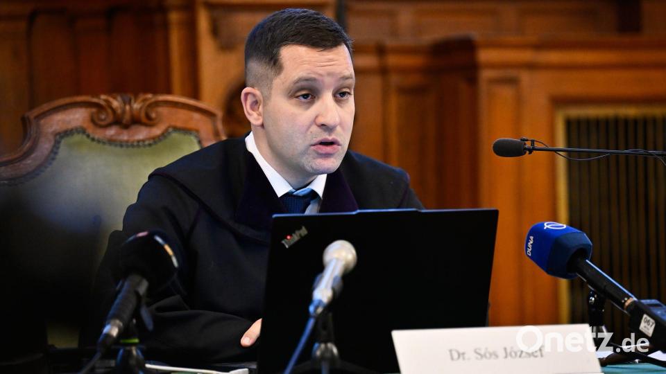 Richter Jozsef Sos folgte weitgehend der Argumentation der Staatsanwaltschaft. Bild: Denes Erdos/AP/dpa