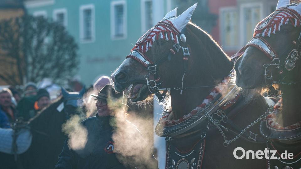 Der Rossmarkt in Berching hat eine lange Tradition. Bild: Armin Weigel/dpa