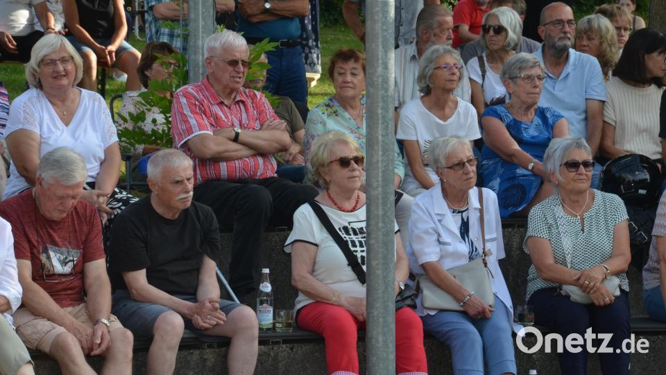 Heiner Aichinger (Zweite Reihe, Mitte) und Günter Pschibl (vorne, links) waren ehemalige Schlagzeuger und durften natürlich bei diesem Auftritt im Stadtpark nicht fehlen. Bild: dob