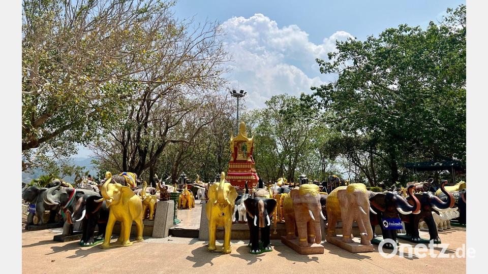 In Thailand werden Elefanten tief verehrt, auch in vielen Tempeln. (Archivbild) Bild: Carola Frentzen/dpa