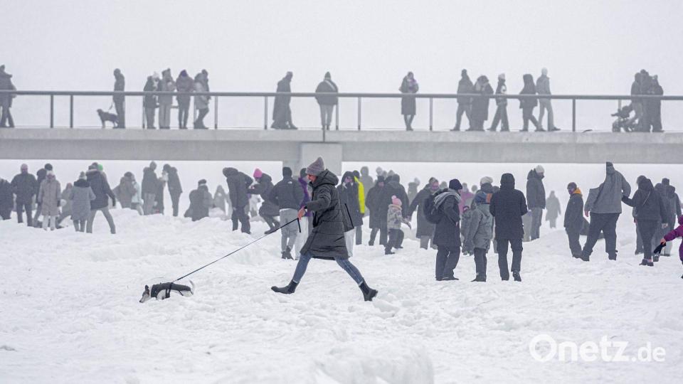 Strandspaziergang Bild: Markus Scholz/dpa