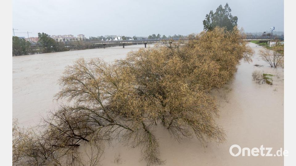 Am Samstag hatte das Sturmtief "Marta" zahlreiche Flüsse wie hier den Guadalquivir in Andalusien über die Ufer treten lassen. Es war bereits der siebte Atlantiksturm seit Jahresbeginn, der über Portugal, Spanien und Marokko hinwegzog. Bild: Eduardo Briones/EUROPA PRESS/dpa
