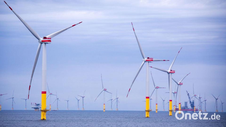 Die Windparks in der Ostsee produzierten nach Angaben des Netzbetreibers 50Hertz im vergangenen Jahr etwa zehn Prozent mehr Strom als im Jahr zuvor. (Archivbild) Bild: Jens Büttner/dpa-Zentralbild/dpa