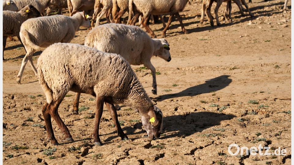 Die Serie schwerer Winterstürme mit Starkregen trifft eine Region, die sonst unter Wassermangel leidet. Bild: Álex Zea/EUROPA PRESS/dpa