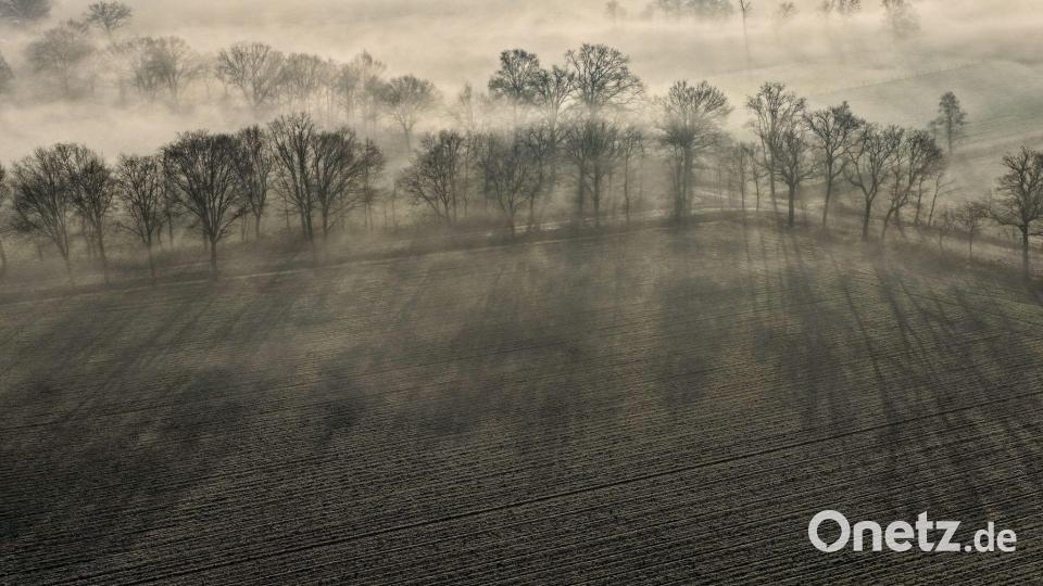 Morgennebel Bild: Christoph Reichwein/dpa