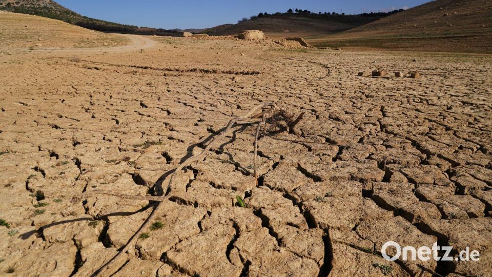 Langfristig warnen Wissenschaftler vor einer Austrocknung Südspaniens infolge des Klimawandels. Bild: Álex Zea/EUROPA PRESS/dpa