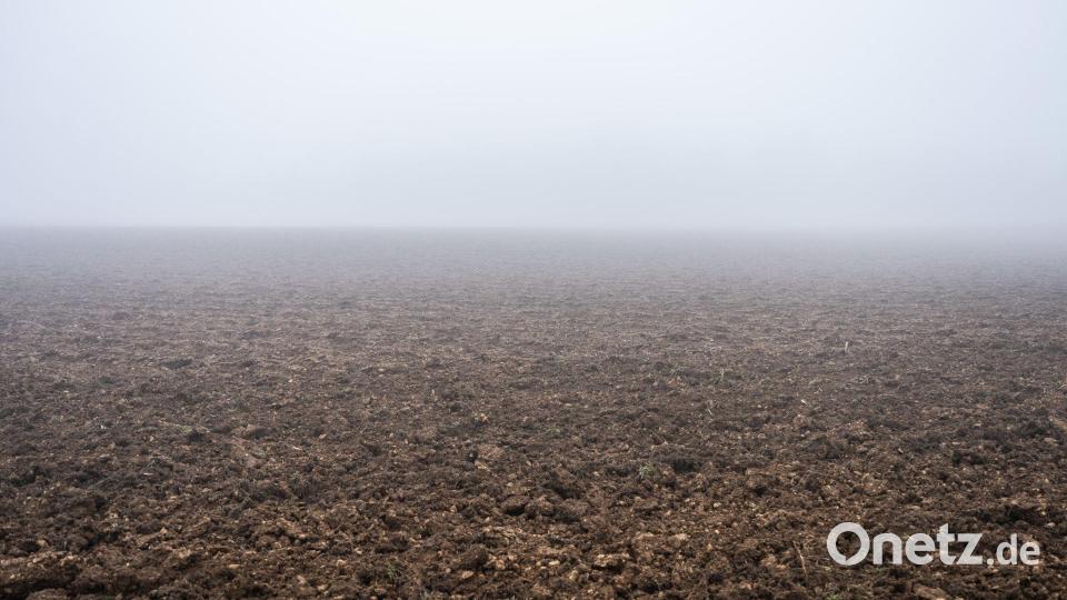 Der Sonntag in Bayern wird neblig. (Symbolbild) Bild: Silas Stein/dpa
