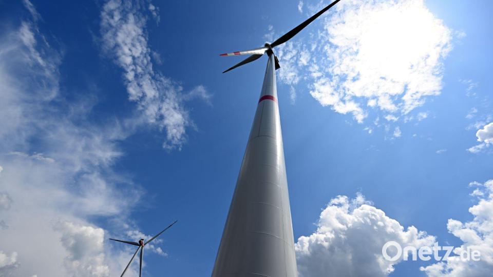 Die Leistung von Windrädern muss immer wieder gedrosselt werden. Bild: Federico Gambarini/dpa