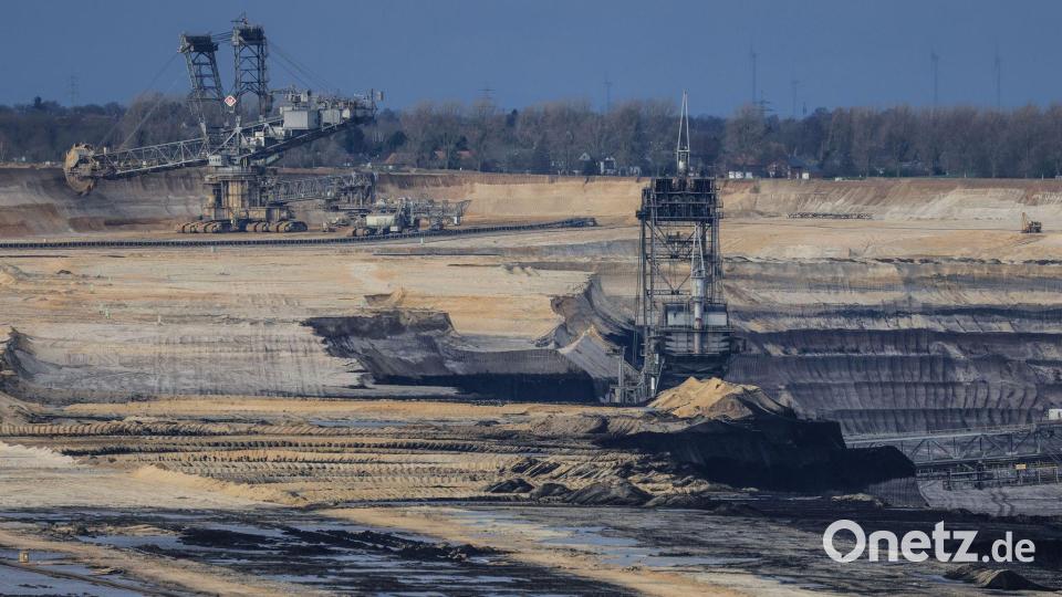 Aktuell erwähnen weniger als ein Prozent der börsennotierten Unternehmen in ihren Berichten ihre Auswirkungen auf die Biodiversität, hieß es. Bild: Oliver Berg/dpa