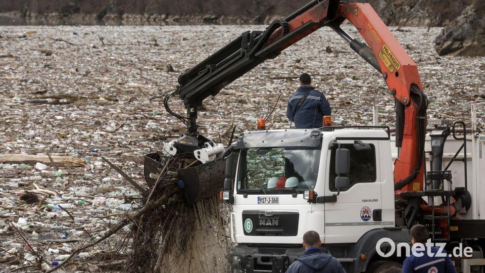 Der Verlust biologischer Vielfalt zählt einem aktuellen Weltbericht zufolge zu den größten Bedrohungen für die Wirtschaft. Bild: Armin Durgut/AP/dpa