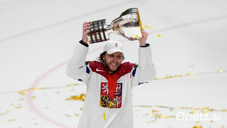 Weltmeister wurde Tschechiens Torjäger David Pastrnak bereits. (Archivbild) Bild: Darko Vojinovic/AP/dpa