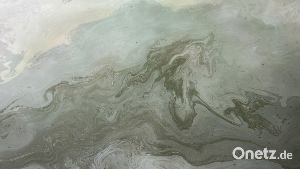 In der Schleuse befand sich so viel Öl, dass eine Spezialfirma dieses abpumpen musste. Bild: Daniel Löb/dpa