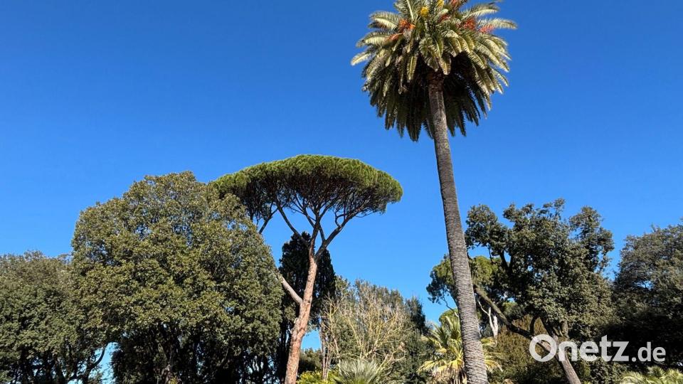 Rom verfügt über eine große botanische Vielfalt. Bild: Robert Messer/dpa