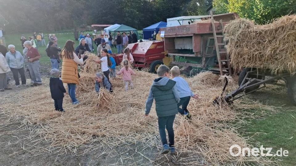 Das Highlight beim Erntedankfest im Gagglhof ist das Dreschen mit einer alten Dreschmaschine. Den Kindern gefällt es besonders, wenn sie sich im Anschluss im Stroh austoben können. Bild: Heimat- und Trachtenverein/Josef Leipold/exb