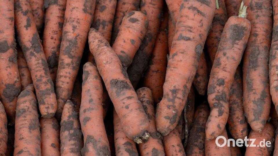 Bei der Förderung des Bio-Anbaus ist nach Ansicht des Verbandes BÖLW noch viel Luft nach oben. (Archivbild) Bild: Swen Pförtner/dpa