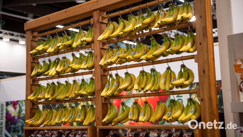 Die Biobranche boomt in Deutschland - doch die Landwirte kommen mit dem Anbau kaum nach. Bild: Daniel Vogl/dpa