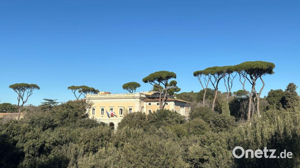 Wie Riesen ragen die Prachtpinien aus Roms Stadtbild heraus. Bild: Robert Messer/dpa