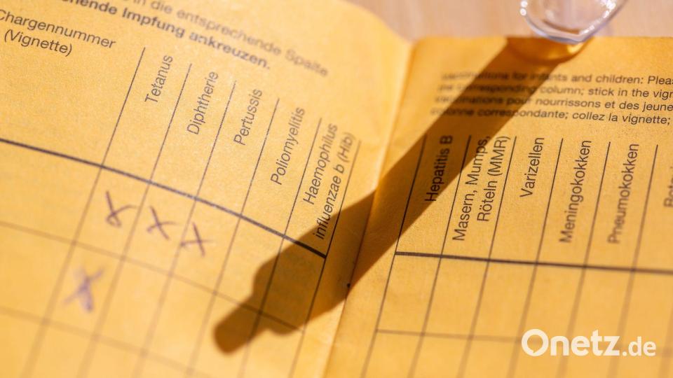 Impfpass mit Impfspalten und handschriftlichen Markierungen zu verschiedenen Schutzimpfungen Bild: Fernando Gutierrez-Juarez/dpa