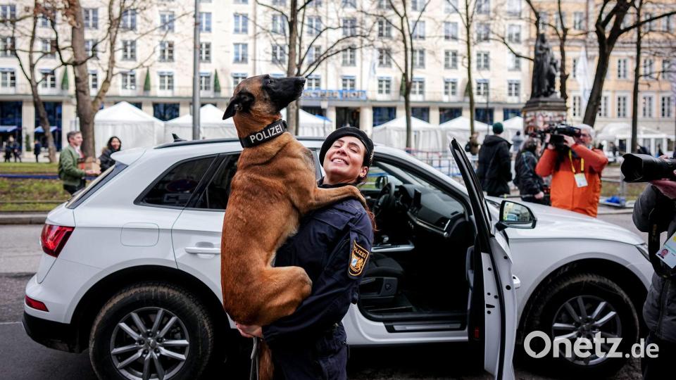 Polizeihund „Luna“ wird bei einem Medientermin bei der 62. Münchner Sicherheitskonferenz (MSC) vor dem Hotel Bayrischer Hof fotografiert und gefilmt. Bild: Kay Nietfeld/dpa