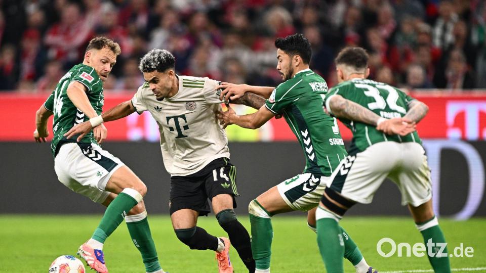 Jagd auf die Bayern? Die Werder-Spieler Senne Lynen (l) und Yukinari Sugawara bedrängen den Münchner Profi Luis Diaz. Bild: Harry Langer/dpa