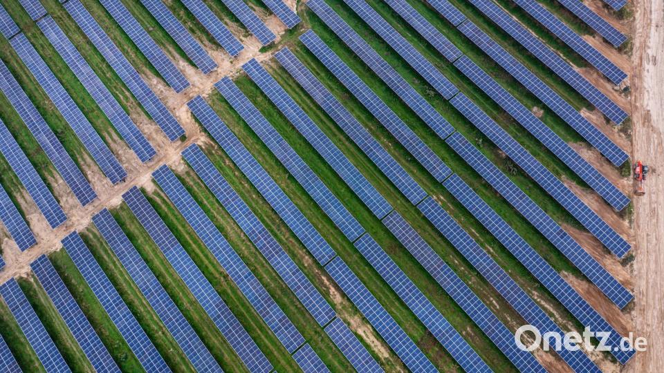 In Mecklenburg-Vorpommern hat Vattenfall 2025 einen Agri-Photovoltaik-Park in Betrieb genommen. Agri-Photovoltaik beschreibt, dass Flächen gleichzeitig für die Landwirtschaft und die Stromerzeugung genutzt werden. (Archivbild) Bild: Jens Büttner/dpa