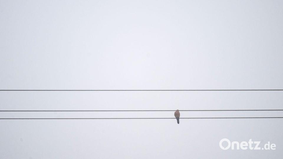 In Bayern gibt es derzeit viele Wolken und nur wenig Sonnenschein. (Symbolbild) Bild: Pia Bayer/dpa